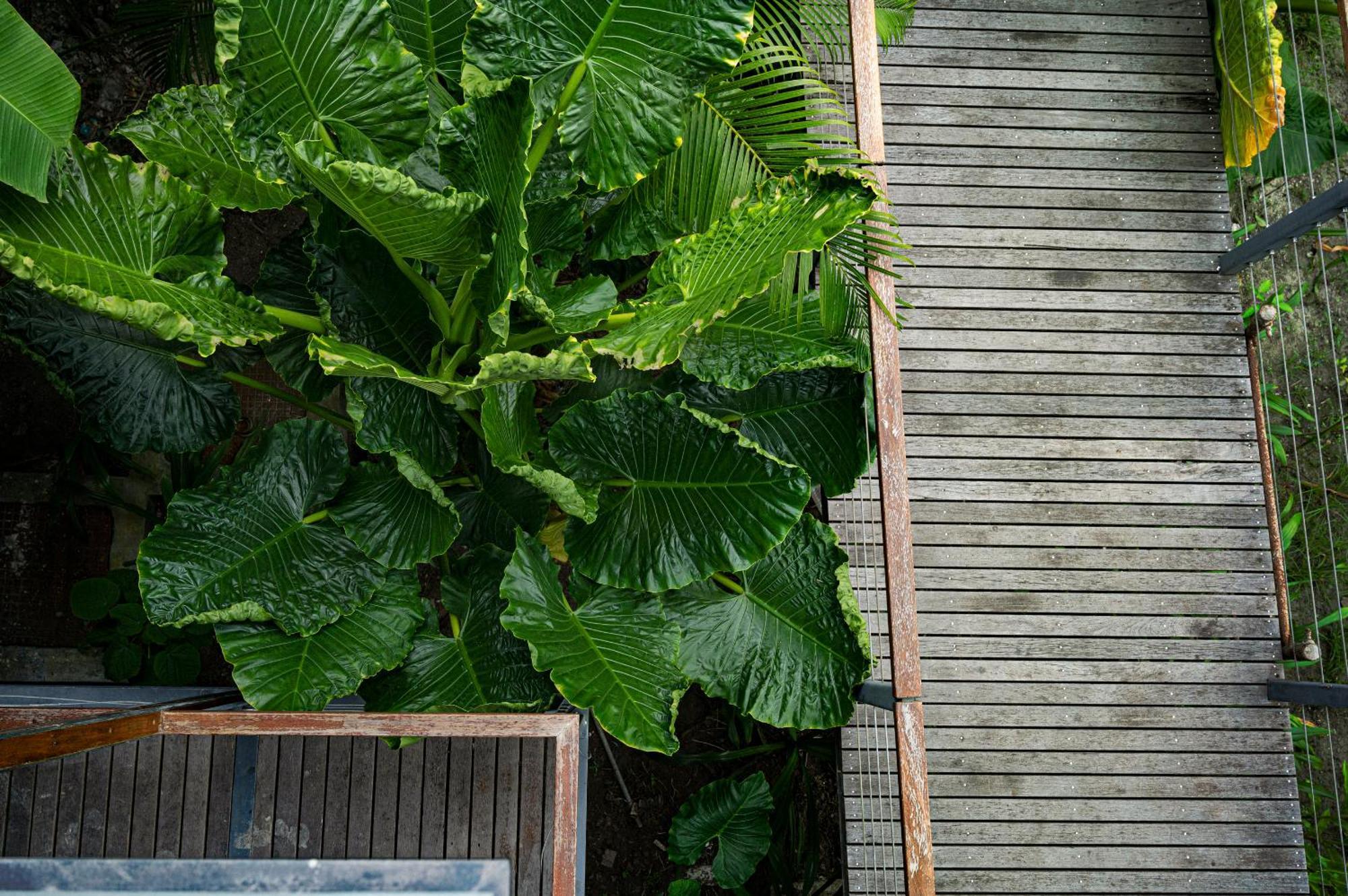 Tilar Siro Andamans - A Cgh Earth Experience Hotel Govind Nagar Exterior foto